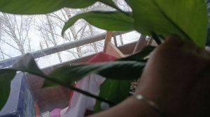 Как я бросила курить/ Про мои диеты/ Простая жизнь