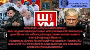 Александр Шелест: Полный блэкаут -Взгляд на события в мире глазами врагов, для победы, их надо знать