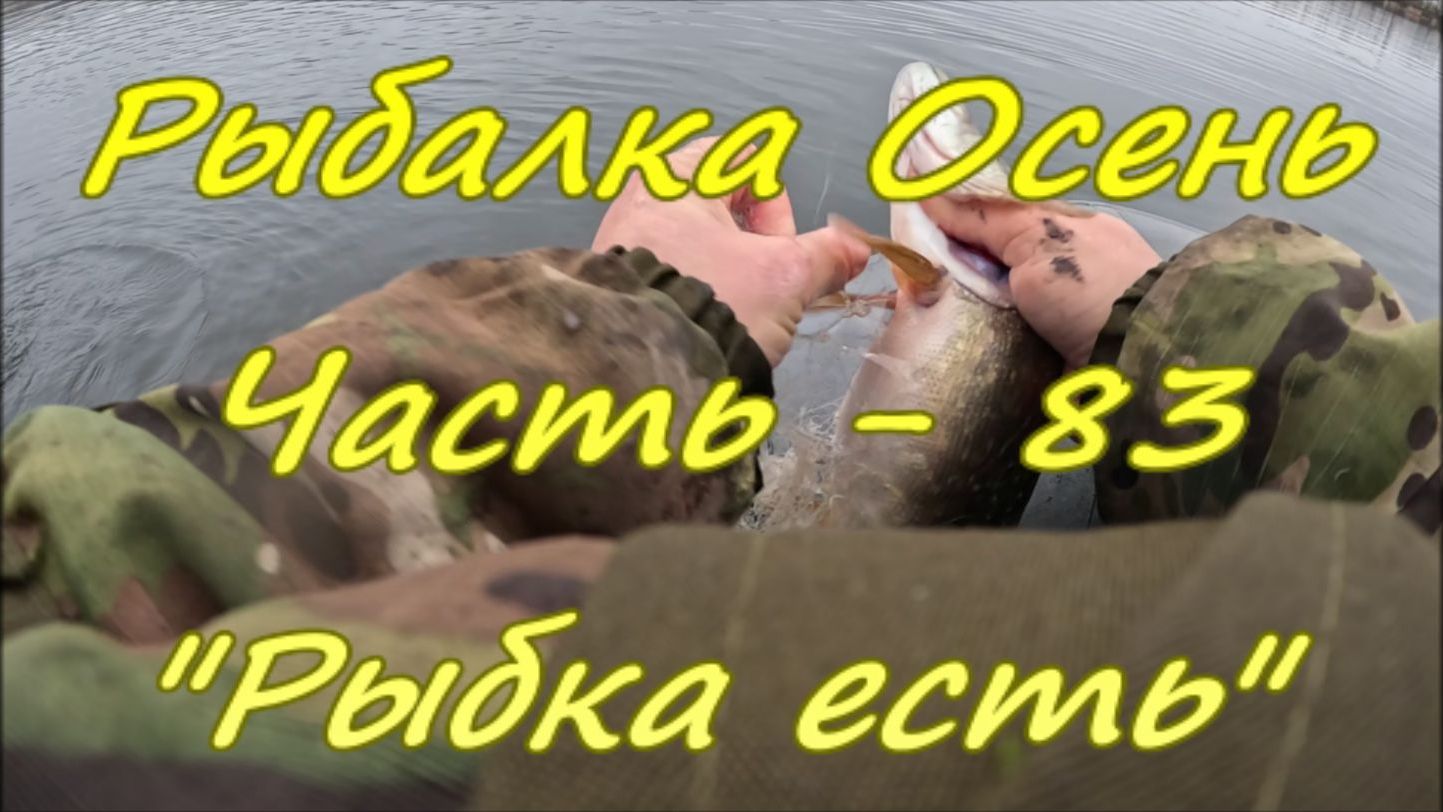 Рыбалка Осень. Часть - 83. "Рыбка есть". смотреть онлайн