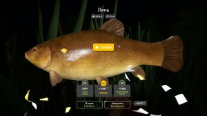 Русская Рыбалка 4 Трофей (Линь) оз. Медное