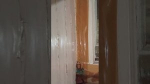 один день Полины на конюшне