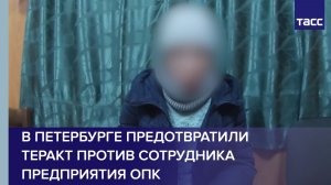 Кадры задержания завербованной СБУ россиянки