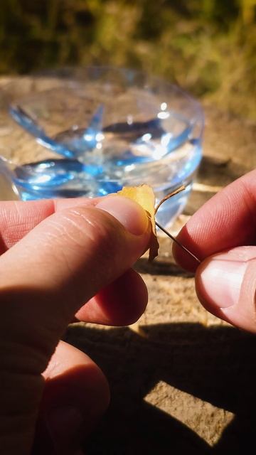 Супер ИДЕЯ! выживание и лайфхаки смотреть онлайн