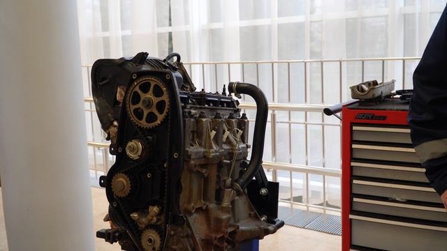 Путь навыков ноябрь 2025