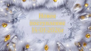 Новое поступление 14-01-2025