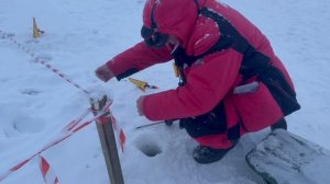 Видеообзор с водоема