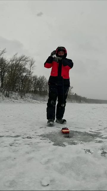ЛОВЛЯ ОКУНЯ НА БАЛАНСИР/РЕКА УСА/ОКУНЬ ЗИМОЙ/БАЛАНСИР "ОКУНЁВЫЙ"/РЫБАЛКА В САМАРСКОЙ ОБЛАСТИ/РЫБАК87 смотреть онлайн