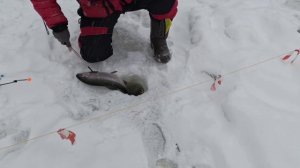 14 января запуск 50 кг. Водопад