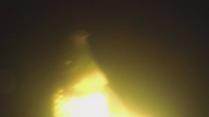 Подводнаая охота 2026.