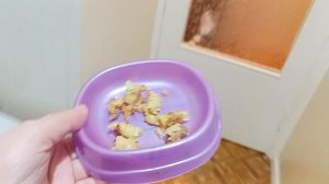 Всем привет 🙋🏻♀️ 😊