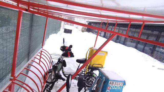 20260114095301_0020 смотреть онлайн