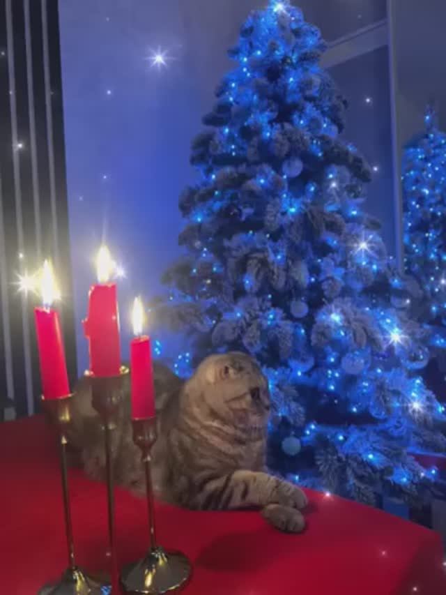 Старый Новый год 🎅 смотреть онлайн