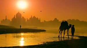 Индия и ее природа в качестве  4k