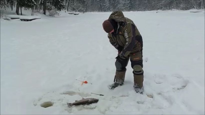 И один в поле воин... Клёвое место, Лосиный остров, верхний водоём. смотреть онлайн