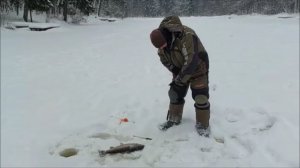 И один в поле воин... Клёвое место, Лосиный остров, верхний водоём.