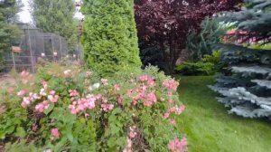 Ангелина и Люся любуются ВЛЮБЛЁННЫМИ БАБОЧКАМИ в очень красивом месте!