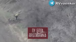 ❗️🇷🇺🔥🇺🇦⚡️«🅾тважные» массово уничтожают контратакующую пехоту и технику ВСУ под Покровском