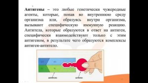 Видео-встреча 14.01.2025