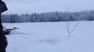 Проверка второй половины самоловок на следующий день.