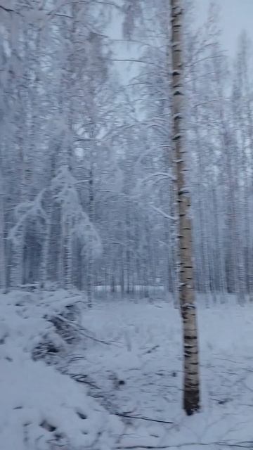 2026-01-14 19-49-21 смотреть онлайн