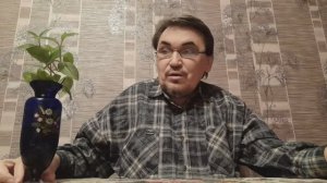 Искусственные цветы в доме.  Дал дранья квартирантам!  14.01.26