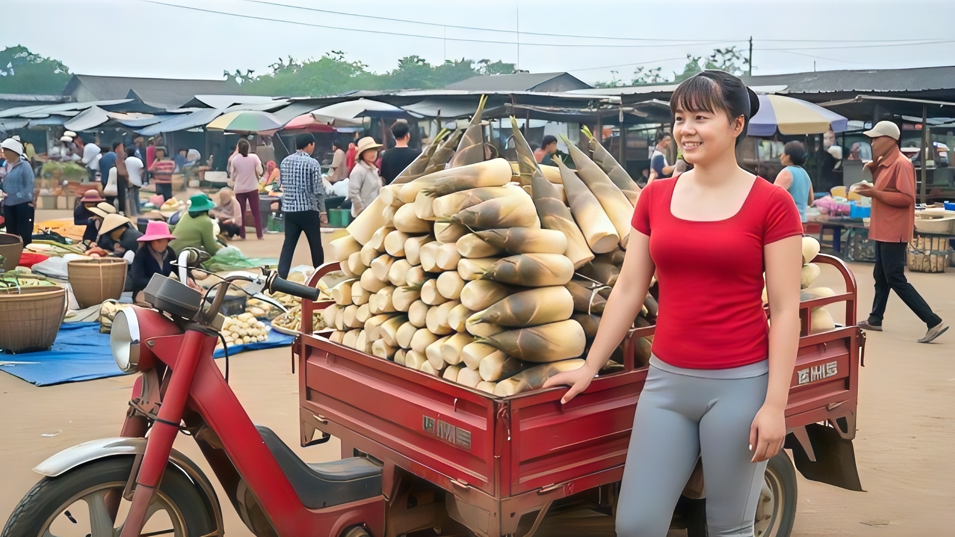 Сбор урожая побегов бамбука. Везу на трицикле на рынок для продажи. Фунг. Вьетнам