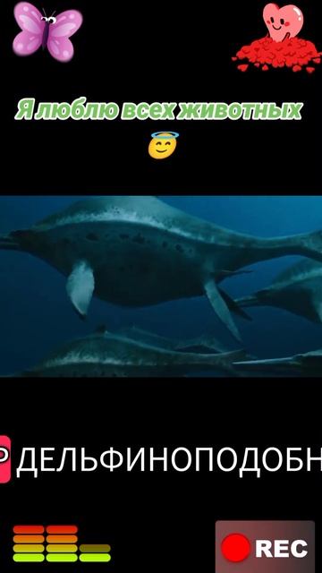 Я люблю всех животных😇 смотреть онлайн