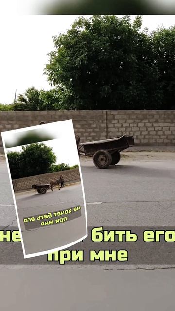 Как застрял осел, по дороге в Афганистан