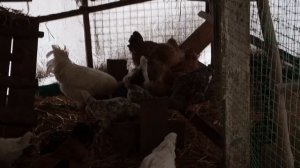 Переночевали при плюсовой. Грелка помогает.