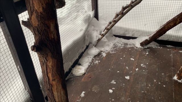 Новости от белок.Средсво от борьбы с паразитами смотреть онлайн