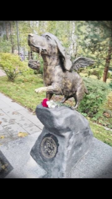 Собака-героиня