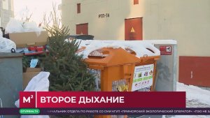 Квадратные метры / Оплата коммуналки / 13.01.26