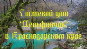Гостевой дом «Дельфинчик» в Краснодарском крае