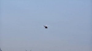 Абсолютный рекорд размера среди вертолётов "Agusta Westland AW 109-K2"