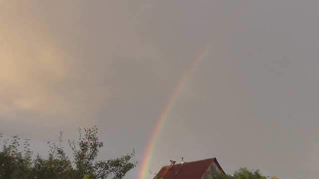 Голуби в небе после дождя смотреть онлайн