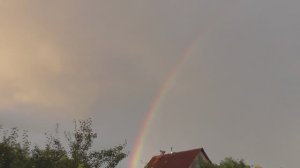 Голуби в небе после дождя