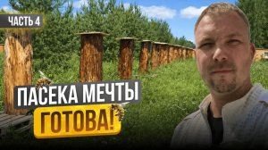Сбежал с офиса на пасеку! Что из этого вышло? Строю пасеку с нуля | Серия 4