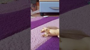 обзор на всех лошадок в конюшне