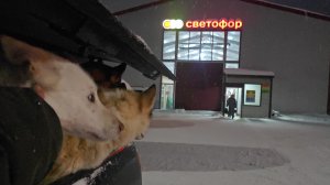 Светофор выручил