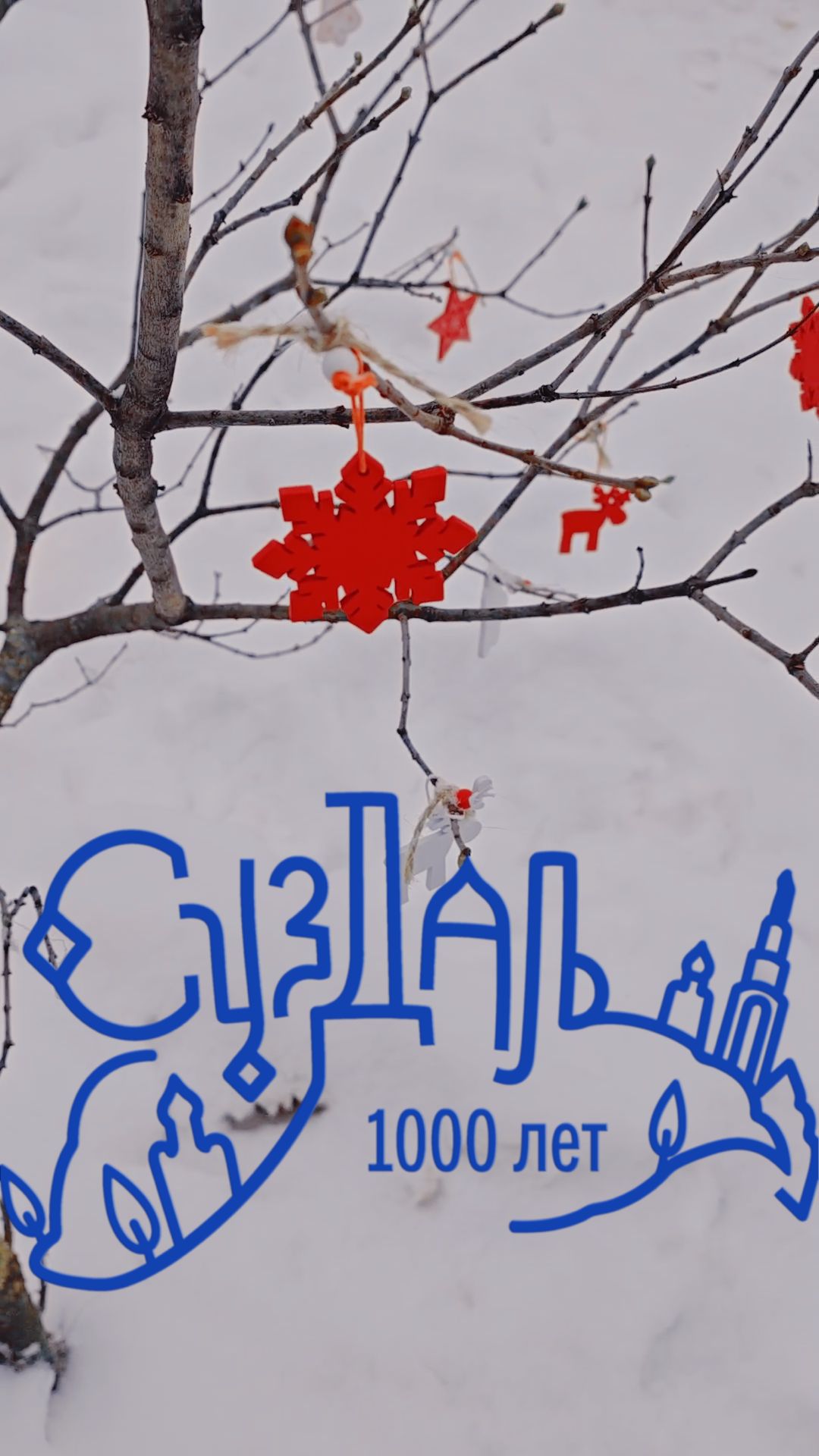 Зачем ехать в Суздаль зимой? Смотри 