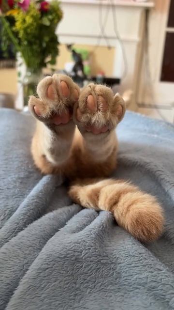 2026-01-14 смотреть онлайн