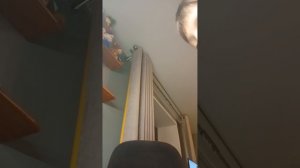 украшаем ROOM