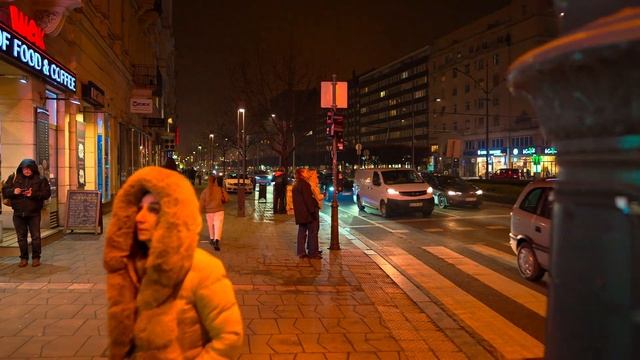 Экстремально холодный Будапешт зимняя прогулка без фильтров ❄️🏙️ смотреть онлайн