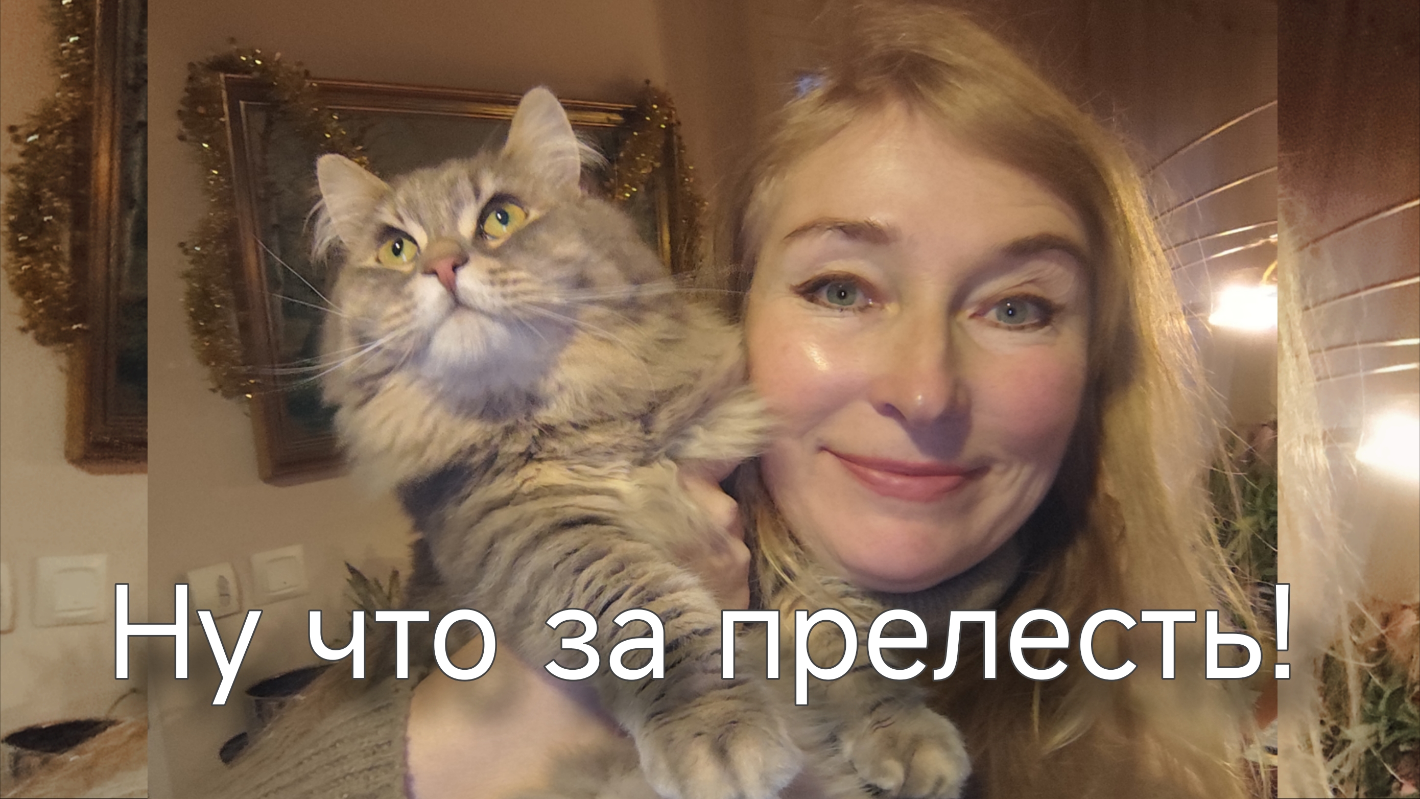 Котики, дешёвая еда и ... финансовая жопа смотреть онлайн