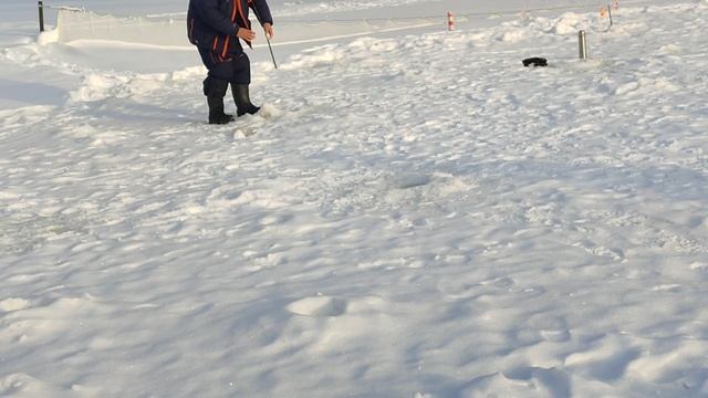 Форель на пасту. Основной водоём. смотреть онлайн