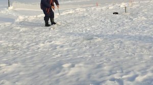 Форель на пасту. Основной водоём.