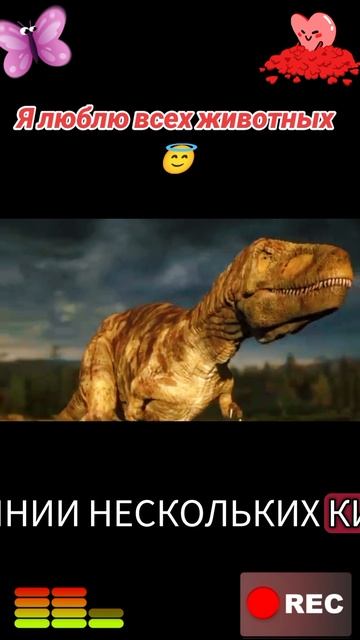 Я люблю всех животных😇 смотреть онлайн