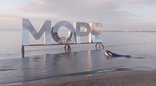 «Закат на центральном пляже Анапы» ✅📌 📍 смотреть онлайн