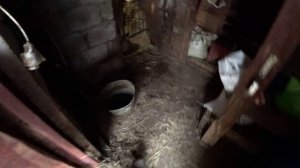 Влог от 19.01.2022