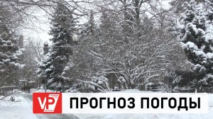 ПРОГНОЗ ПОГОДЫ ПО ВОЛГОГРАДУ И ОБЛАСТИ С 15 ПО 20 ЯНВАРЯ